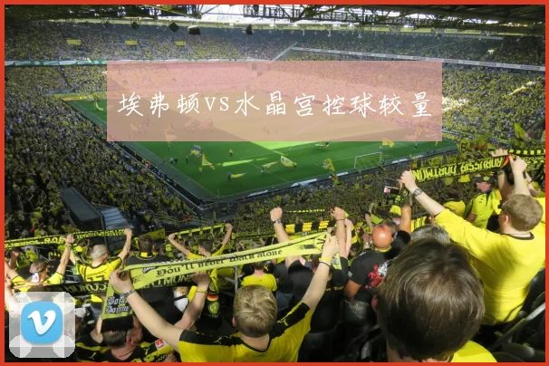 埃弗顿vs水晶宫控球较量