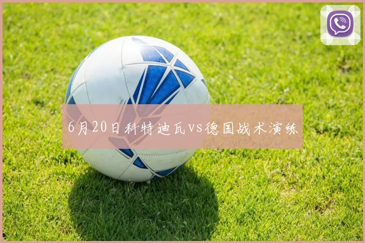6月20日科特迪瓦vs德国战术演练