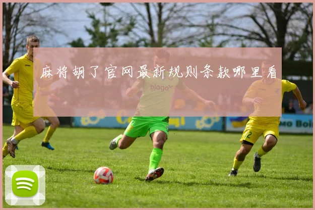 麻将胡了官网最新规则条款哪里看